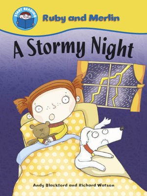 cover image of A Stormy Night